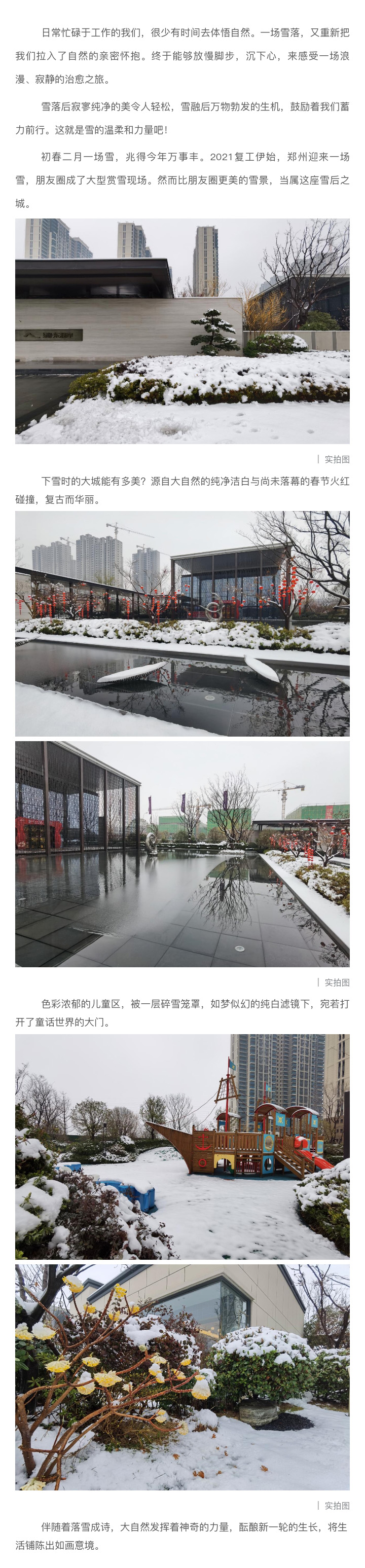 2021浪漫开年，，共赏一场鹅毛大雪！