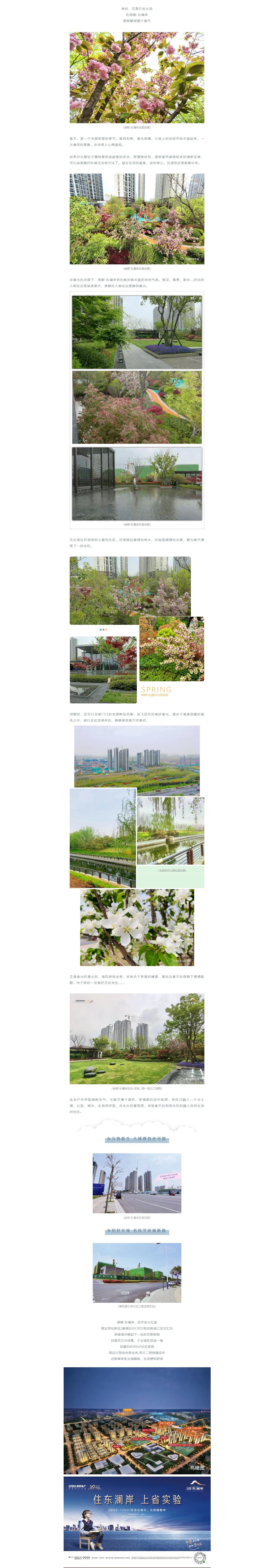 赏花踏青，，，，来一场和春天的约会
